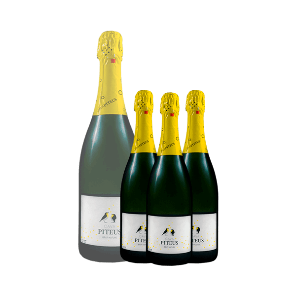 Elaboración de vinos y cava – Enoturismo