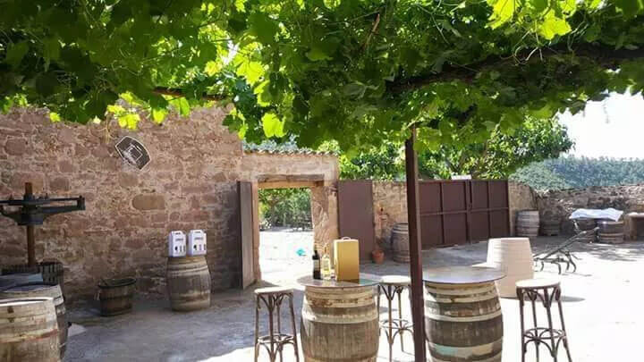 Elaboración de vinos y cava – Enoturismo