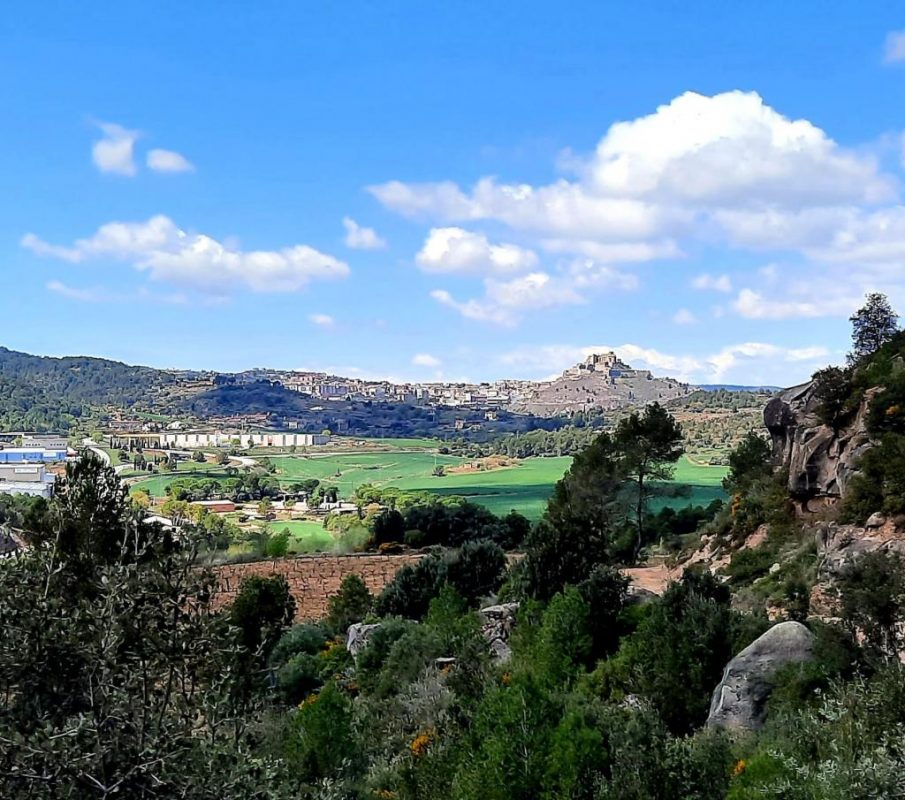 Elaboración de vinos y cava – Enoturismo