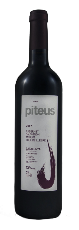 Elaboración de vinos y cava – Enoturismo