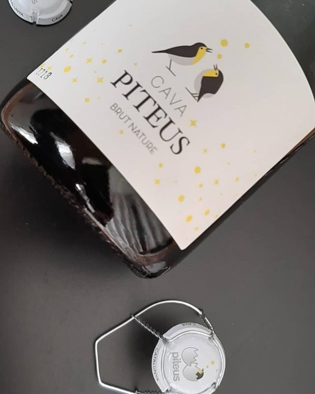 Elaboración de vinos y cava – Enoturismo