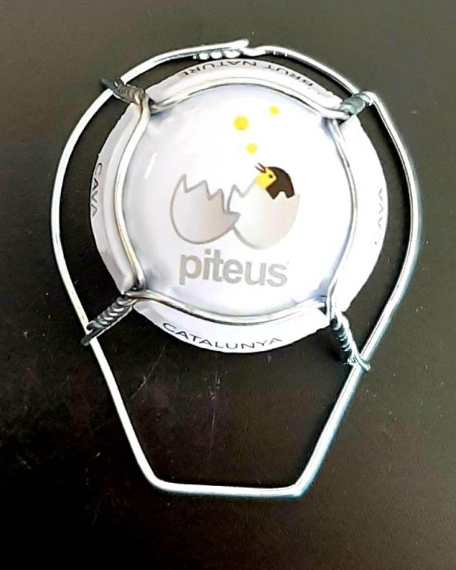 Elaboración de vinos y cava – Enoturismo